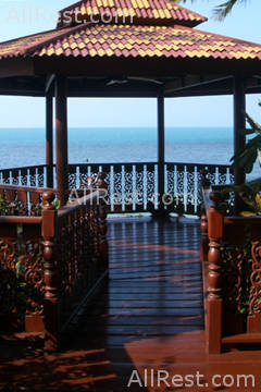 Coconut Paradise 20